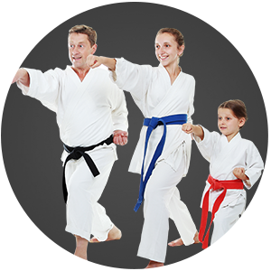 Martial Arts Excel Taekwondo Center 