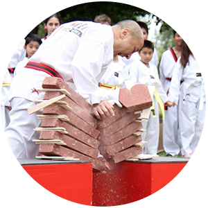 Martial Arts Excel Taekwondo Center Adult Programs